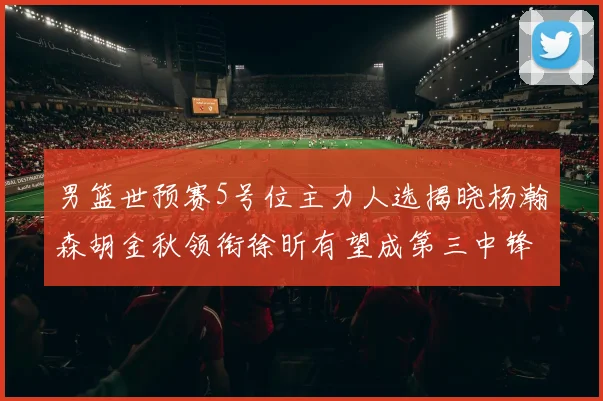 男篮世预赛5号位主力人选揭晓杨瀚森胡金秋领衔徐昕有望成第三中锋
