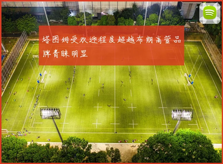 塔图姆受欢迎程度超越布朗高管品牌青睐明显